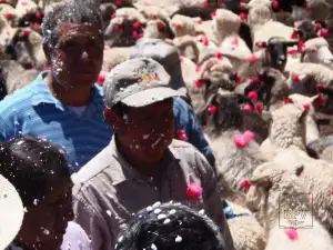 Señalada de Carnaval