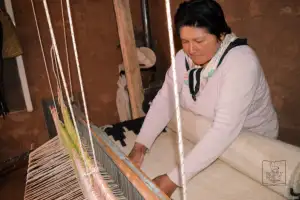 Telera